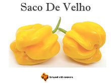 Load image into Gallery viewer, #2 Great Taste Chinense Pepper Seed Collection - 10 Different Varieties!