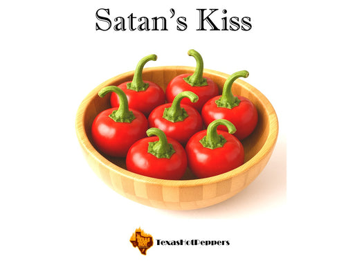 Satan's Kiss