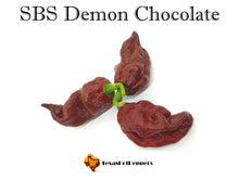 Load image into Gallery viewer, SBS Demon Chocolate