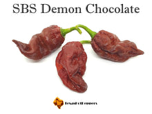 Load image into Gallery viewer, SBS Demon Chocolate