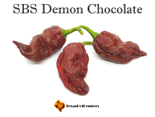 SBS Demon Chocolate