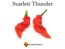 Load image into Gallery viewer, Scarlet Thunder