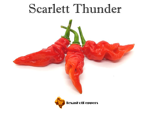 Scarlet Thunder