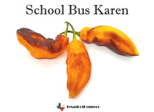 Load image into Gallery viewer, School Bus Karen