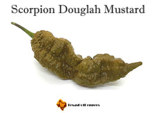 Load image into Gallery viewer, Scorpion Douglah Mustard