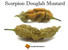 Load image into Gallery viewer, Scorpion Douglah Mustard