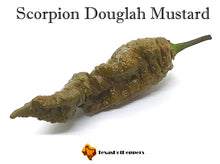 Load image into Gallery viewer, Scorpion Douglah Mustard