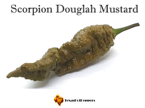 Scorpion Douglah Mustard