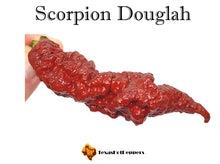 Load image into Gallery viewer, Scorpion Douglah