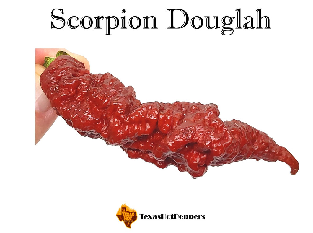 Scorpion Douglah