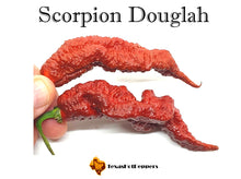 Load image into Gallery viewer, Scorpion Douglah