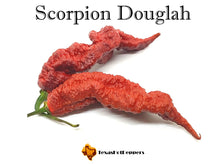 Load image into Gallery viewer, Scorpion Douglah