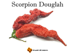 Scorpion Douglah