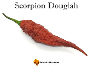 Scorpion Douglah