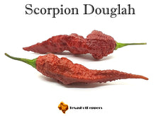Load image into Gallery viewer, Scorpion Douglah