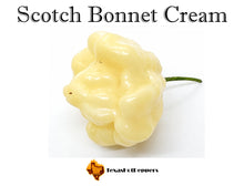 Load image into Gallery viewer, Scotch Bonnet Cream