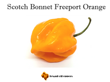 Load image into Gallery viewer, Scotch Bonnet Freeport Orange