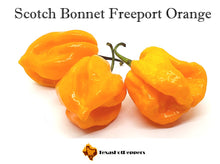 Load image into Gallery viewer, Scotch Bonnet Freeport Orange