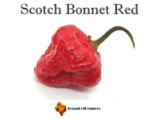 Load image into Gallery viewer, Scotch Bonnet Red