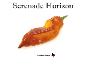 Serenade Horizon