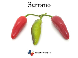 Serrano