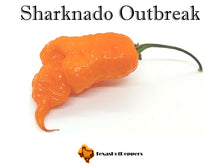 Load image into Gallery viewer, Sharknado Outbreak