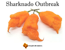 Load image into Gallery viewer, Sharknado Outbreak