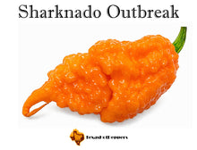 Load image into Gallery viewer, Sharknado Outbreak