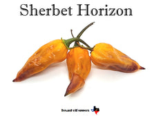 Load image into Gallery viewer, Sherbet Horizon