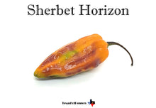 Load image into Gallery viewer, Sherbet Horizon