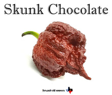 Load image into Gallery viewer, Skunk Chocolate