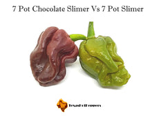 Load image into Gallery viewer, 7 Pot Chocolate Slimer