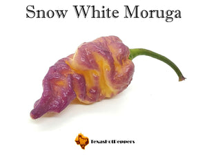 Snow White Moruga