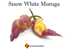 Load image into Gallery viewer, Snow White Moruga
