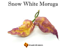 Load image into Gallery viewer, Snow White Moruga