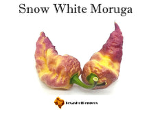 Load image into Gallery viewer, Snow White Moruga