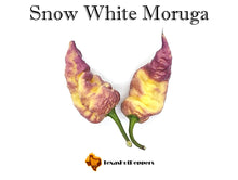 Load image into Gallery viewer, Snow White Moruga