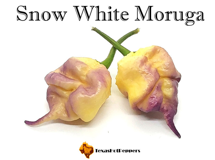 Snow White Moruga
