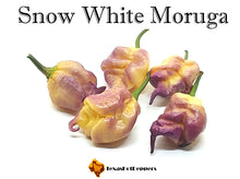 Load image into Gallery viewer, Snow White Moruga