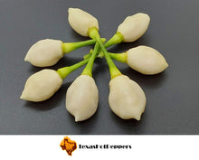 Load image into Gallery viewer, Snow White Habanero
