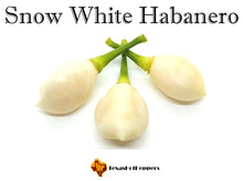 Load image into Gallery viewer, Snow White Habanero