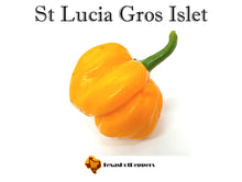 Load image into Gallery viewer, St Lucia Gros Islet Scotch Bonnet