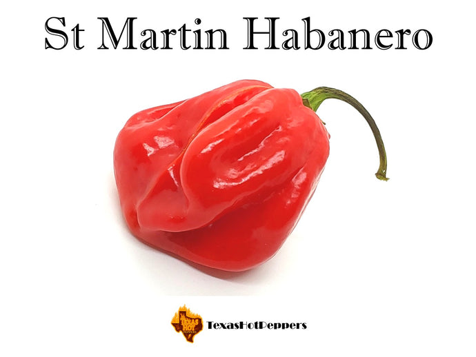 St Martin Habanero