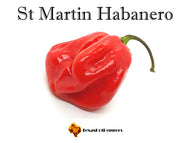 St Martin Habanero