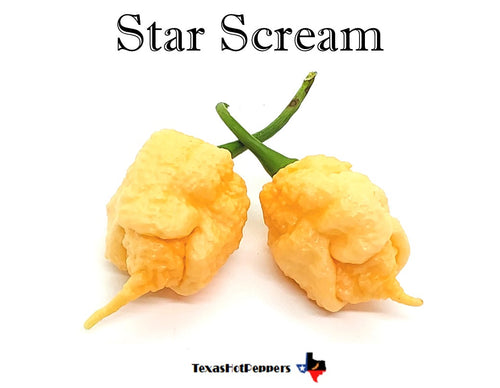 Daisy Cutter Yellow – Texas Hot Peppers