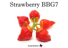 Load image into Gallery viewer, Strawberry BBG7