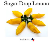 Load image into Gallery viewer, Sugar Drop Lemon