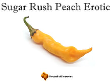 Load image into Gallery viewer, Sugar Rush Peach Erotic