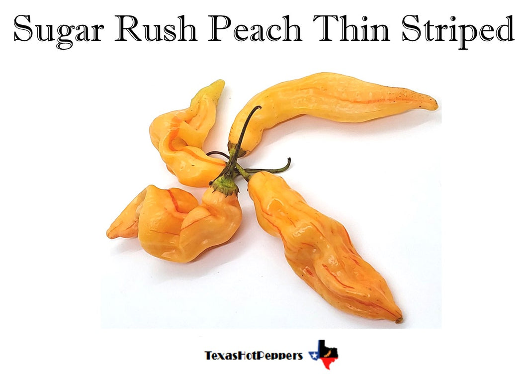 Sugar Rush Peach Thin Striped