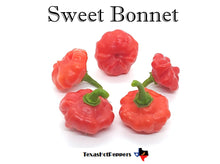 Load image into Gallery viewer, Low Heat Chinense Pepper Seed Collection - 10 Different Varieties